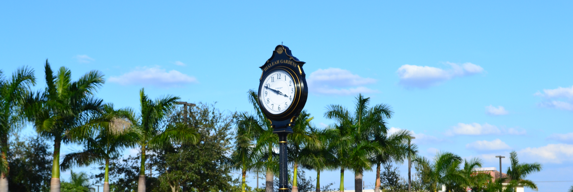 Hialeah Gardens Clock
